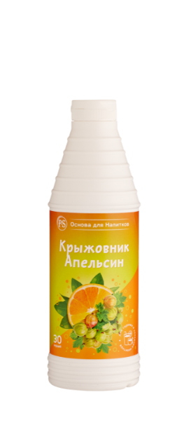 Основа для напитков ProffSyrup Крыжовник-Апельсин 1 кг